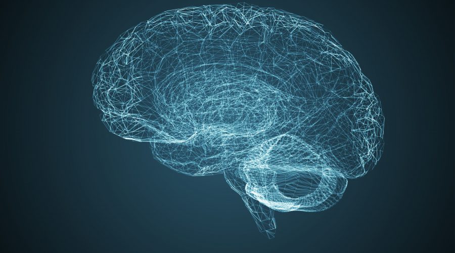 Episode 8: The NEW science of the Cerebellum